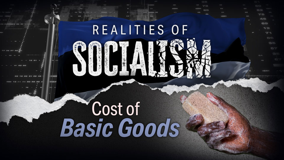 Cost of Basic Goods